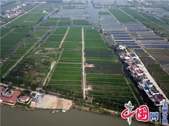 太陽照耀美麗農(nóng)村圖片_農(nóng)村美麗建設(shè)圖片大全_農(nóng)村房子建設(shè)圖片大全