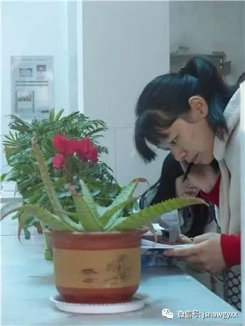 學(xué)校文化墻學(xué)生展示欄_學(xué)校展示欄設(shè)計(jì)圖片_學(xué)生個(gè)人展示墻