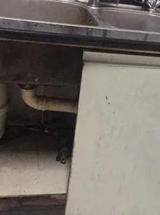 弗龍板與雪弗板區(qū)別_pvc板 雪弗板_雪弗板做柜子結(jié)實嗎