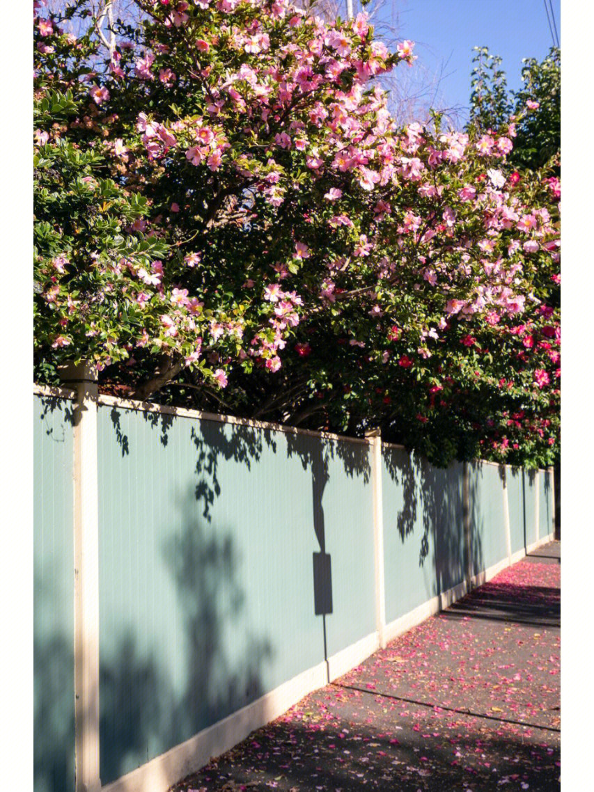 社區(qū)文化墻手繪_手繪墻開(kāi)關(guān)_武漢手繪 武漢手繪墻