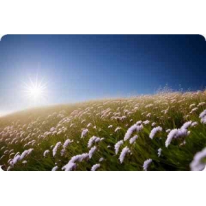 亞克力和pvc哪個(gè)重_亞克力pvc是什么材料